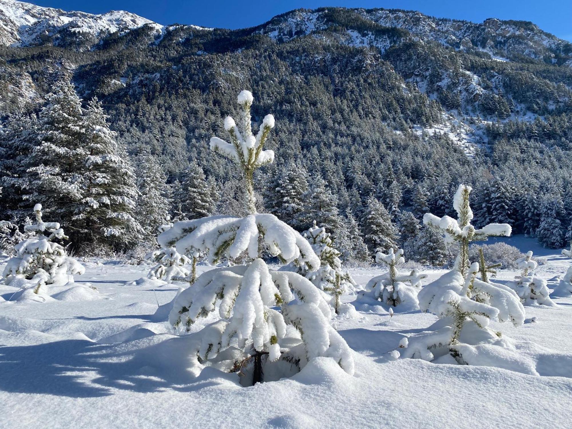 La Kaz Montagne *
