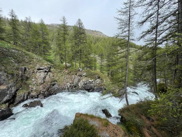 La Kaz Montagne